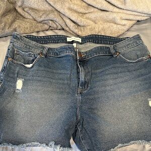 Lane Bryant Light Blue Denim Shorts